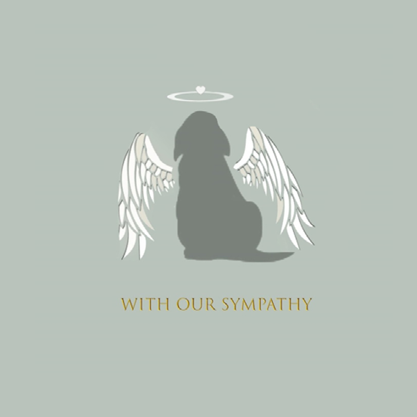 Sympathy Cards (20 pack), Heaven Sent - Dog